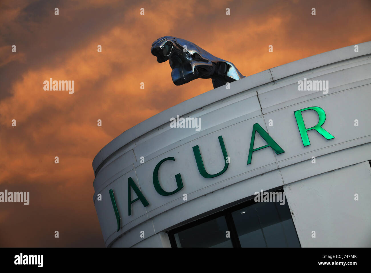 Il logo della azienda costruttrice di auto di lusso jaguar seduti sulla cima di Pentland Jaguar showroom di Edimburgo con il cielo illuminato dal sole al tramonto come sfondo Foto Stock