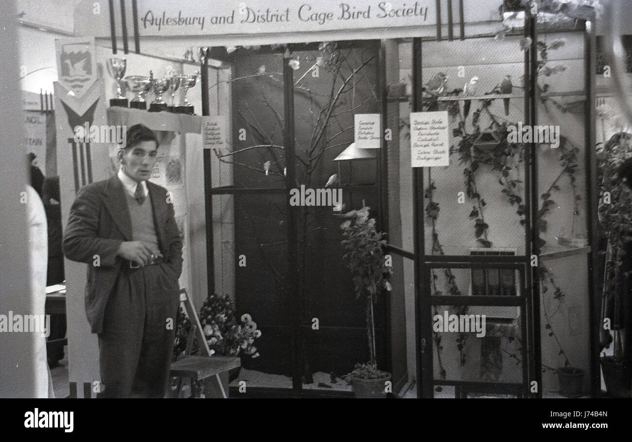 1950, indoor stand fieristico di Aylesbury e gabbia di distretto Bird Society, Inghilterra, Regno Unito. Foto Stock