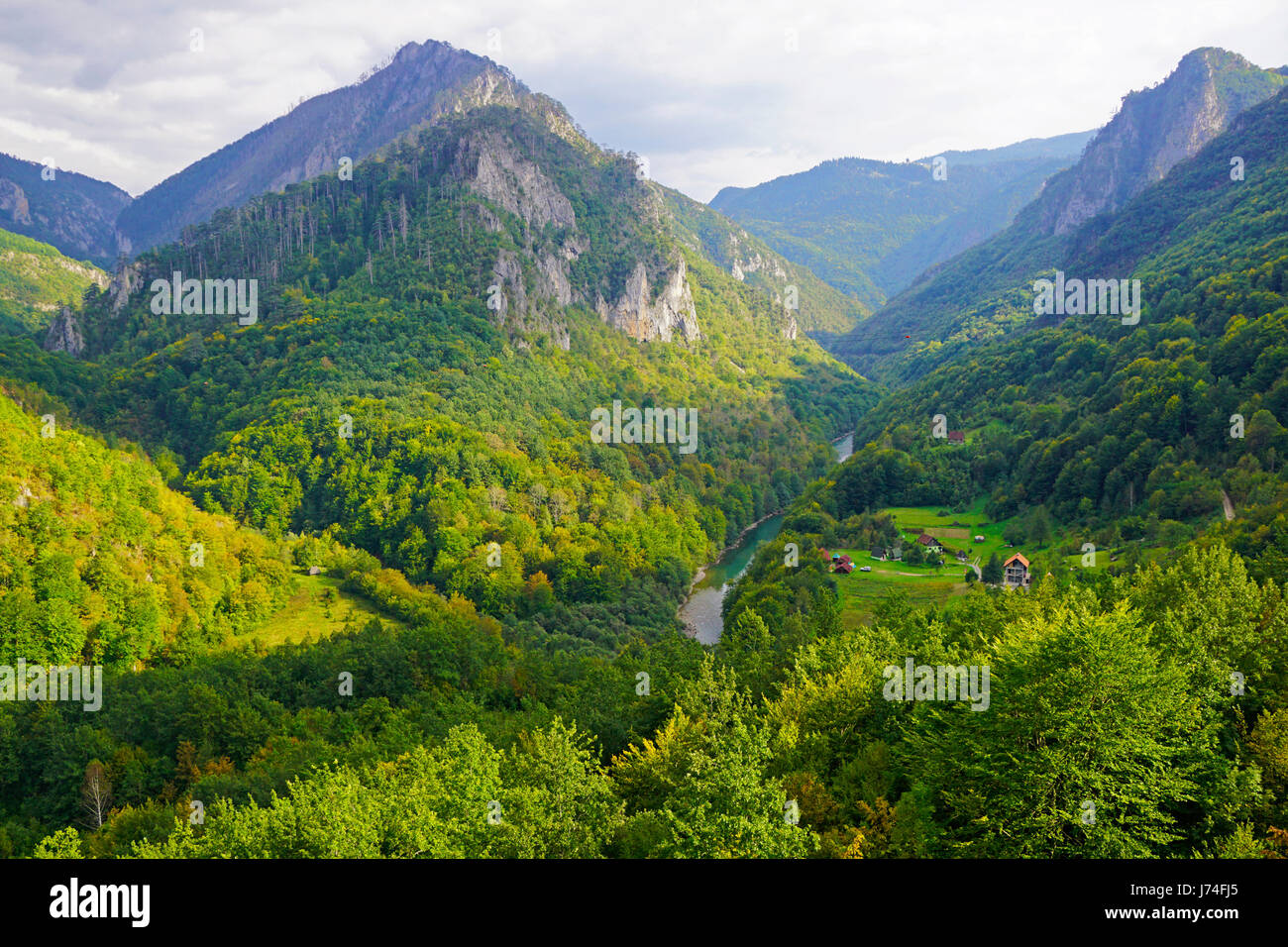 Fiume Tara canyon in Montenegro il Parco Nazionale Durmitor. Foto Stock