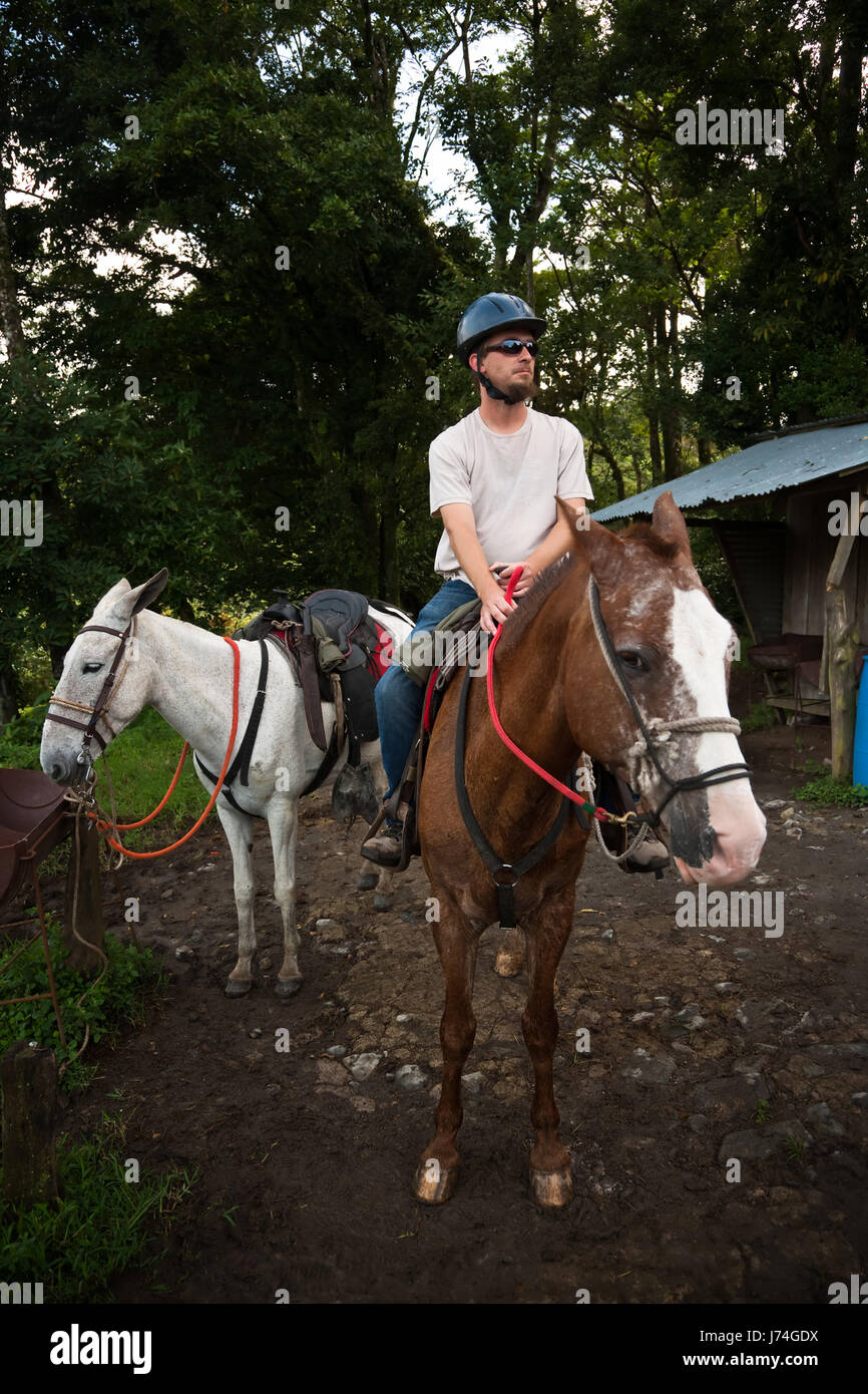 Il pilota di origine animale attrezzature equestre paese bestia esplorare esplorare la foresta gli esseri umani Foto Stock