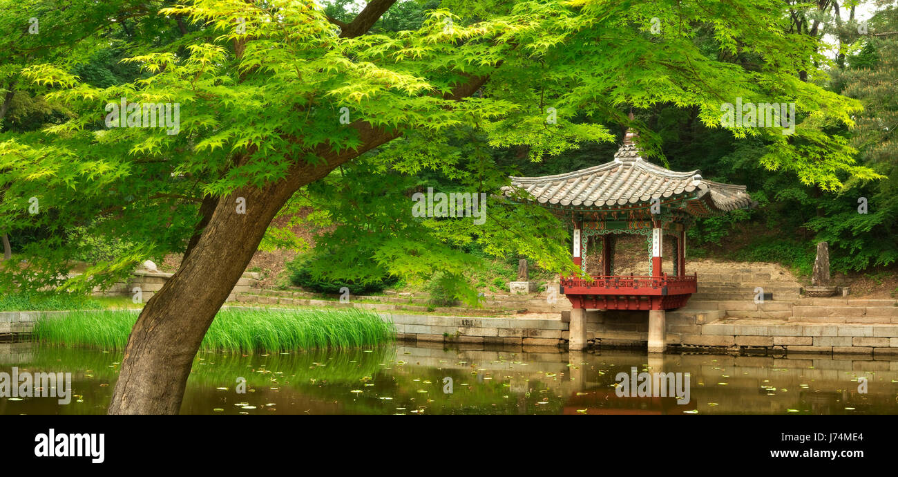 Il giardino segreto, nell'antico palazzo di Changdeokgung di Seoul, Corea del Sud. Fotografia dalla tarda primavera. Foto Stock