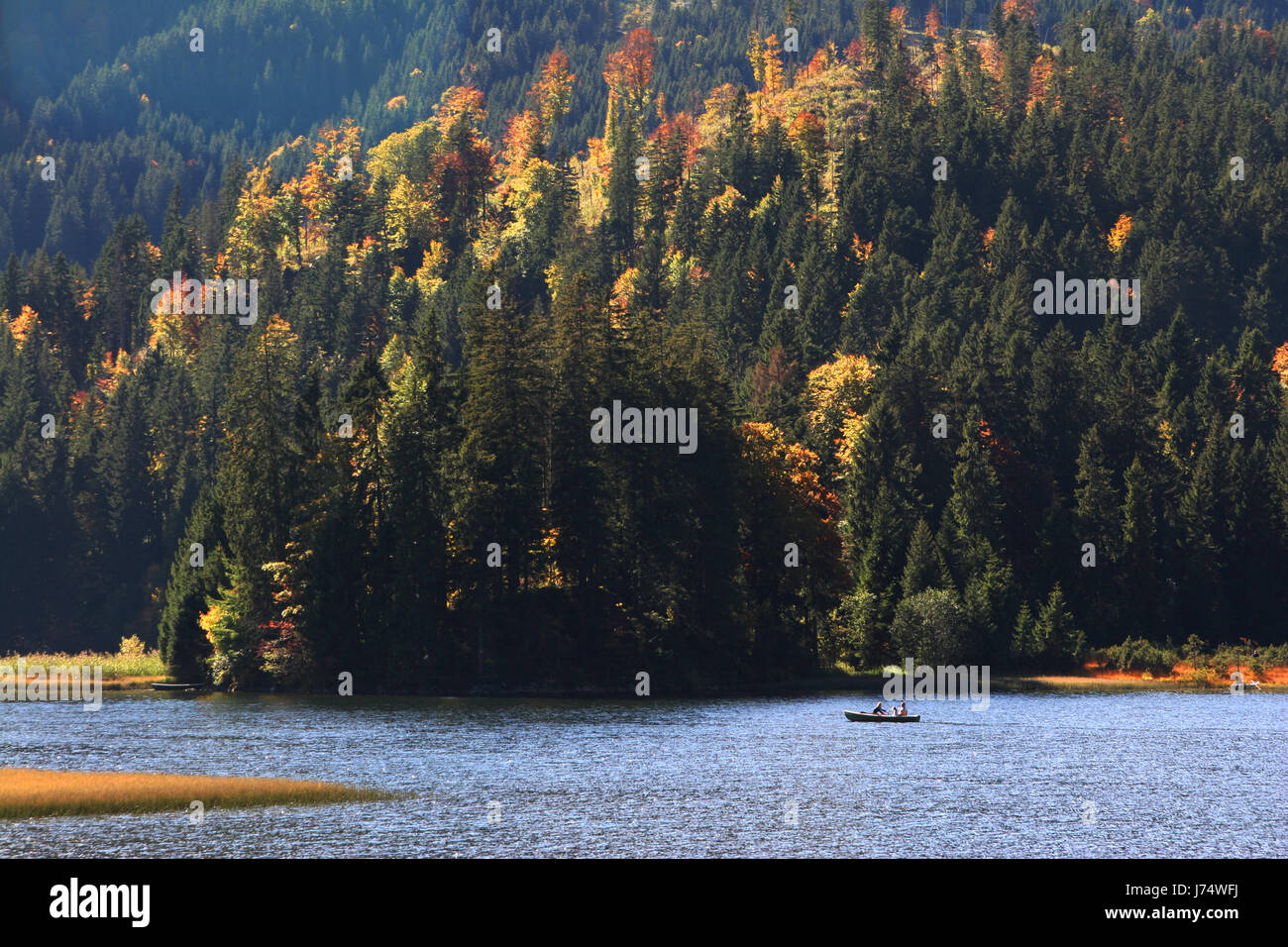 Alpi Baviera montani alpini Germania Repubblica federale tedesca scenario campagna Foto Stock