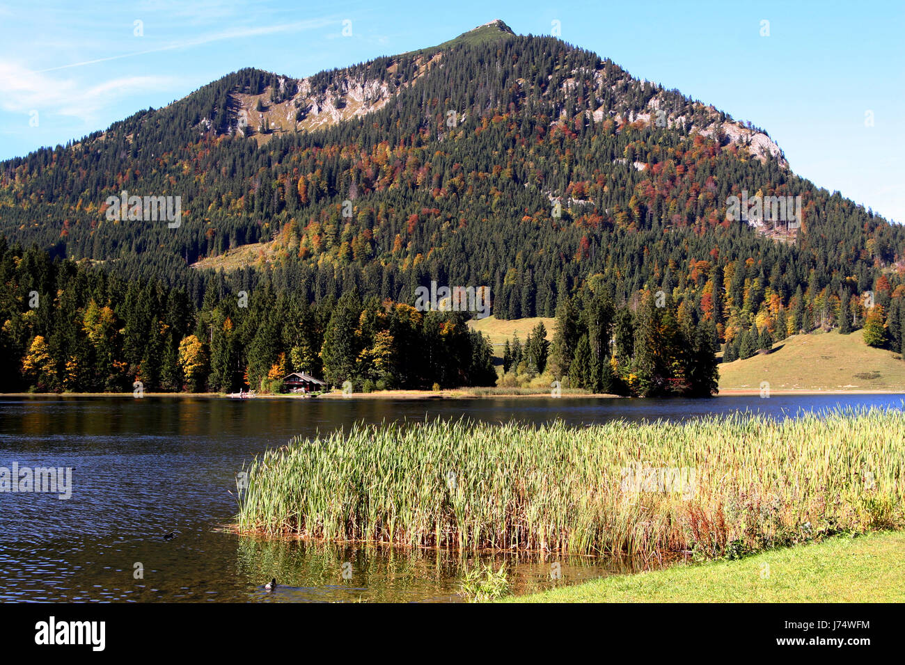 Alpi Baviera montani alpini Germania Repubblica federale tedesca scenario campagna Foto Stock