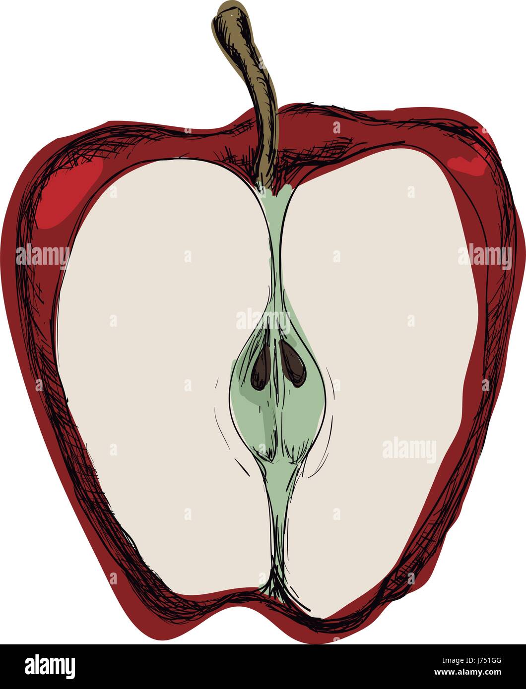 Apple disegnare frutta Illustrazione Vettoriale