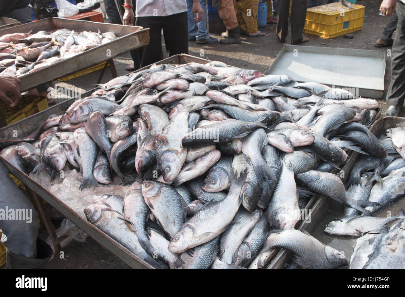 Pesce fresco in vendita nel mercato di Pune, Maharashtra Foto Stock