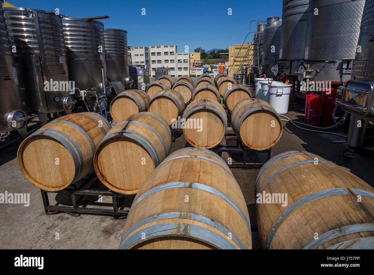 Oak botti da vino, la fermentazione del vino, area di fermentazione, Fleury cantina immobiliare, Rutherford, la Valle di Napa NAPA County, California, Stati Uniti Foto Stock