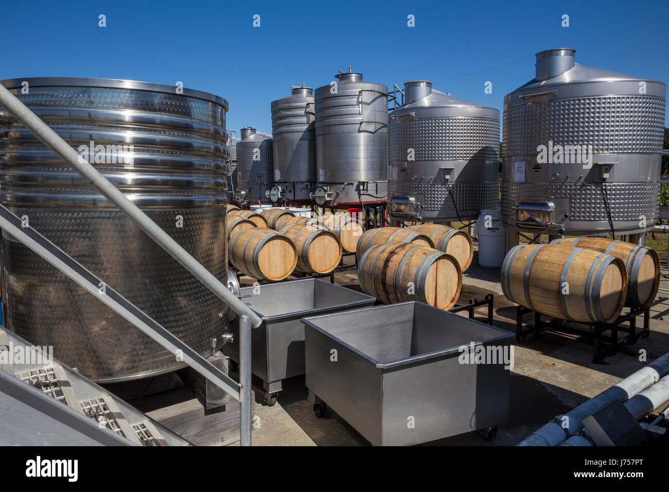 Oak botti da vino, la fermentazione del vino, area di fermentazione, Fleury cantina immobiliare, Rutherford, la Valle di Napa NAPA County, California, Stati Uniti Foto Stock