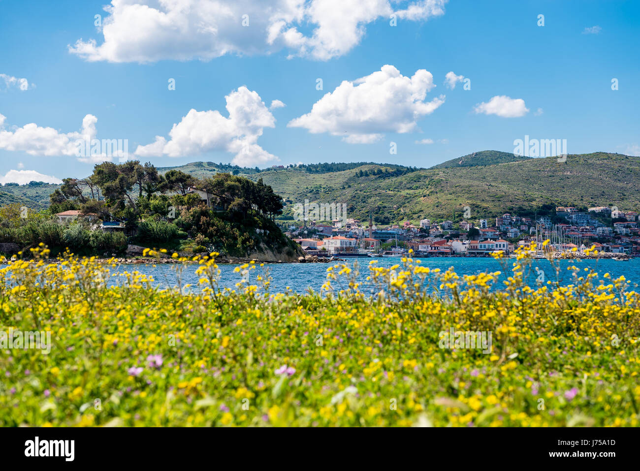 Vista Mare con giallo fiori selvatici Foto Stock