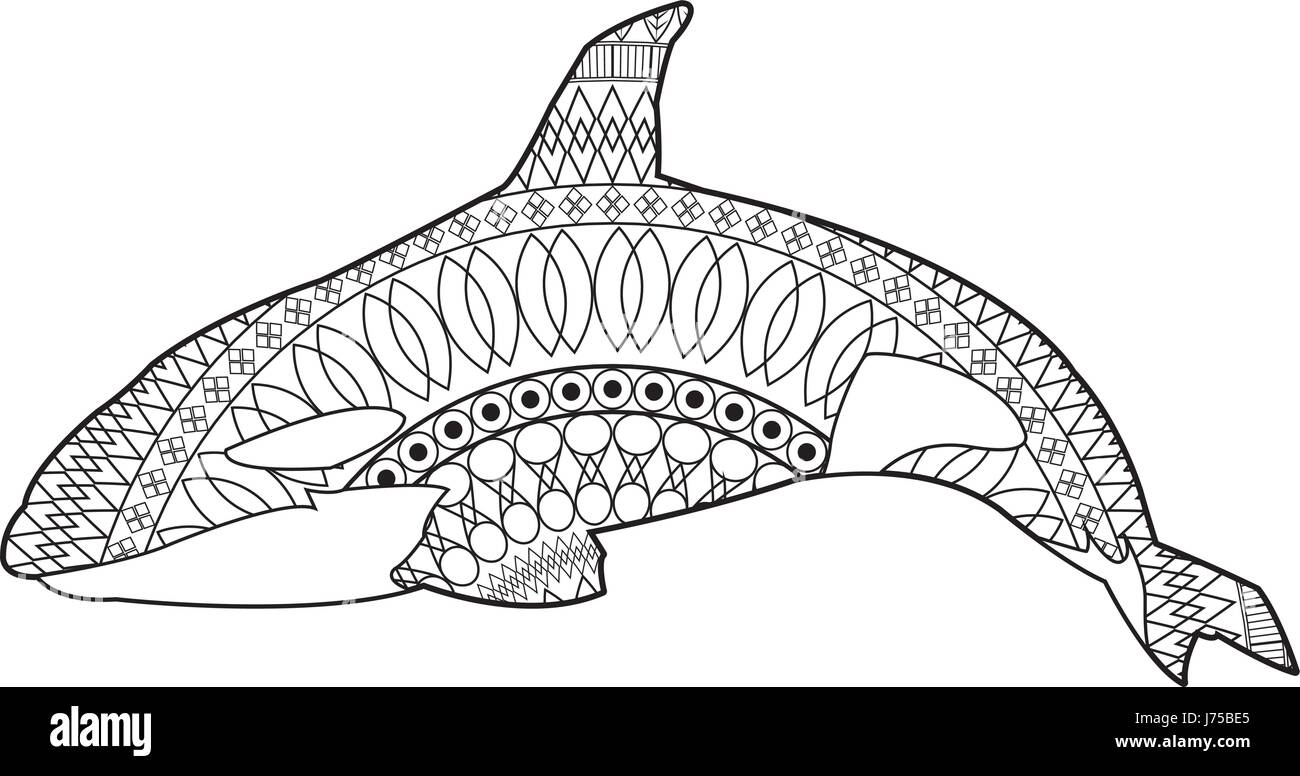 Killer Whale cetacea, animali animali acquatici orca illustrazione, vettore Illustrazione Vettoriale