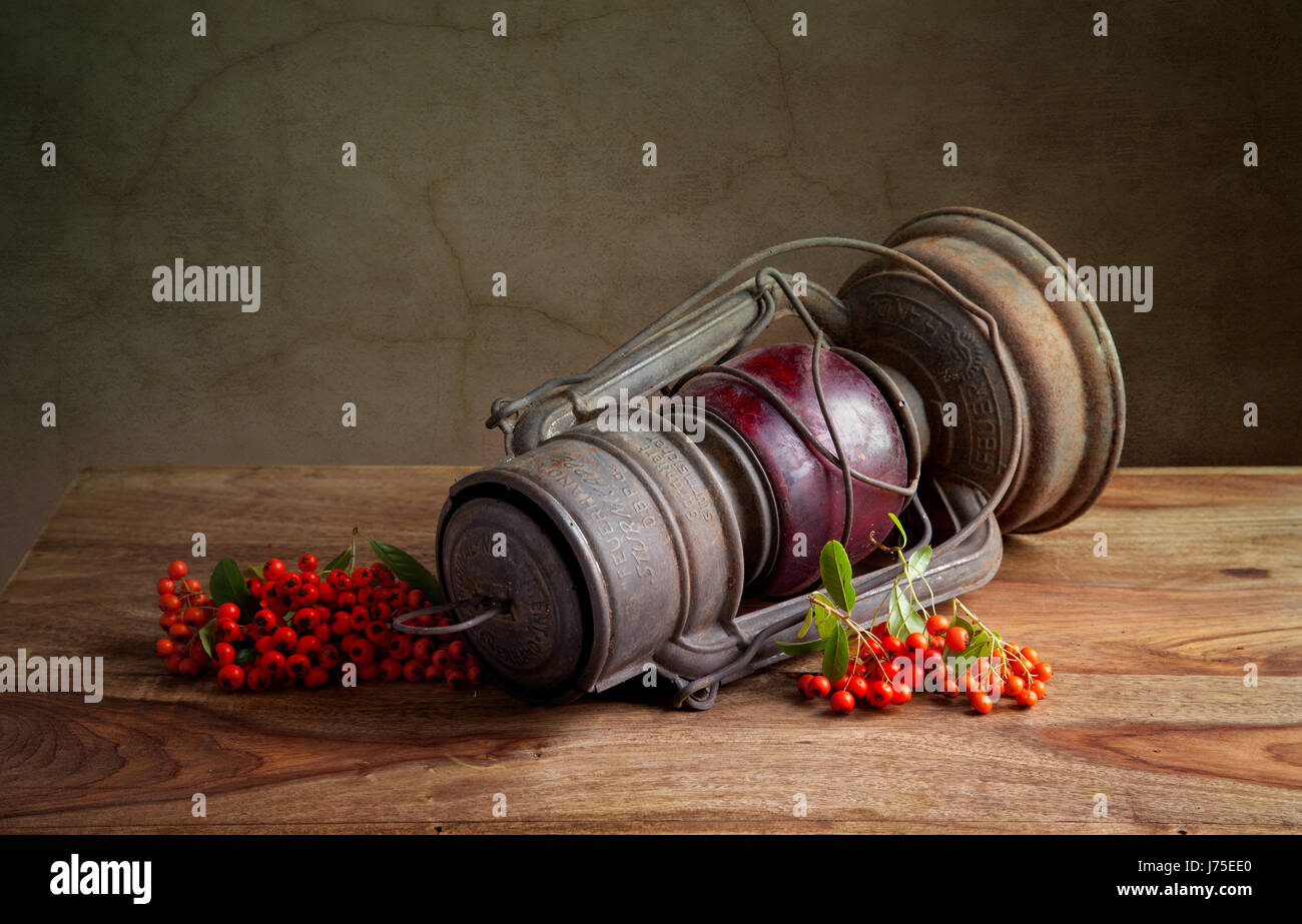 Ancora vita shiner lampada luce luminary bacche harvest festival di ringraziamento Foto Stock