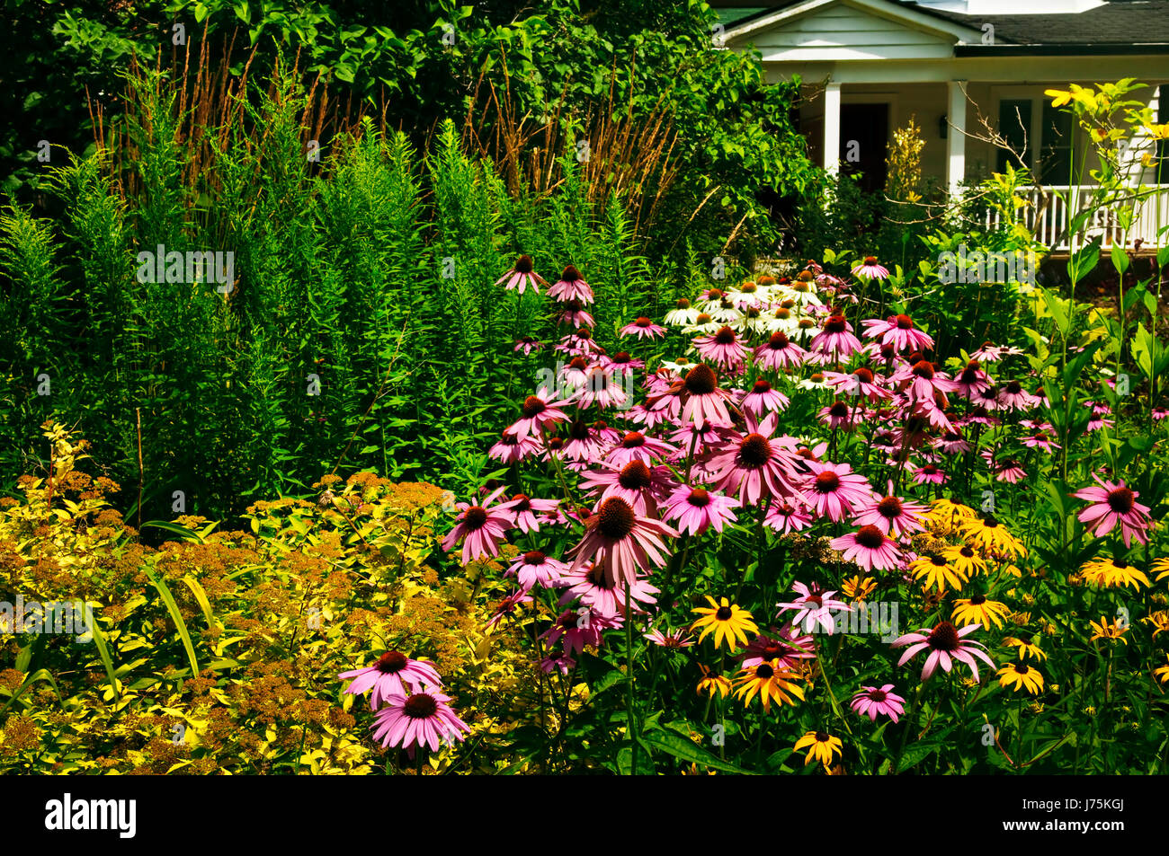Giardino fiore fiori pianta home costruzione casa di piante e fiori bloom blossom Foto Stock