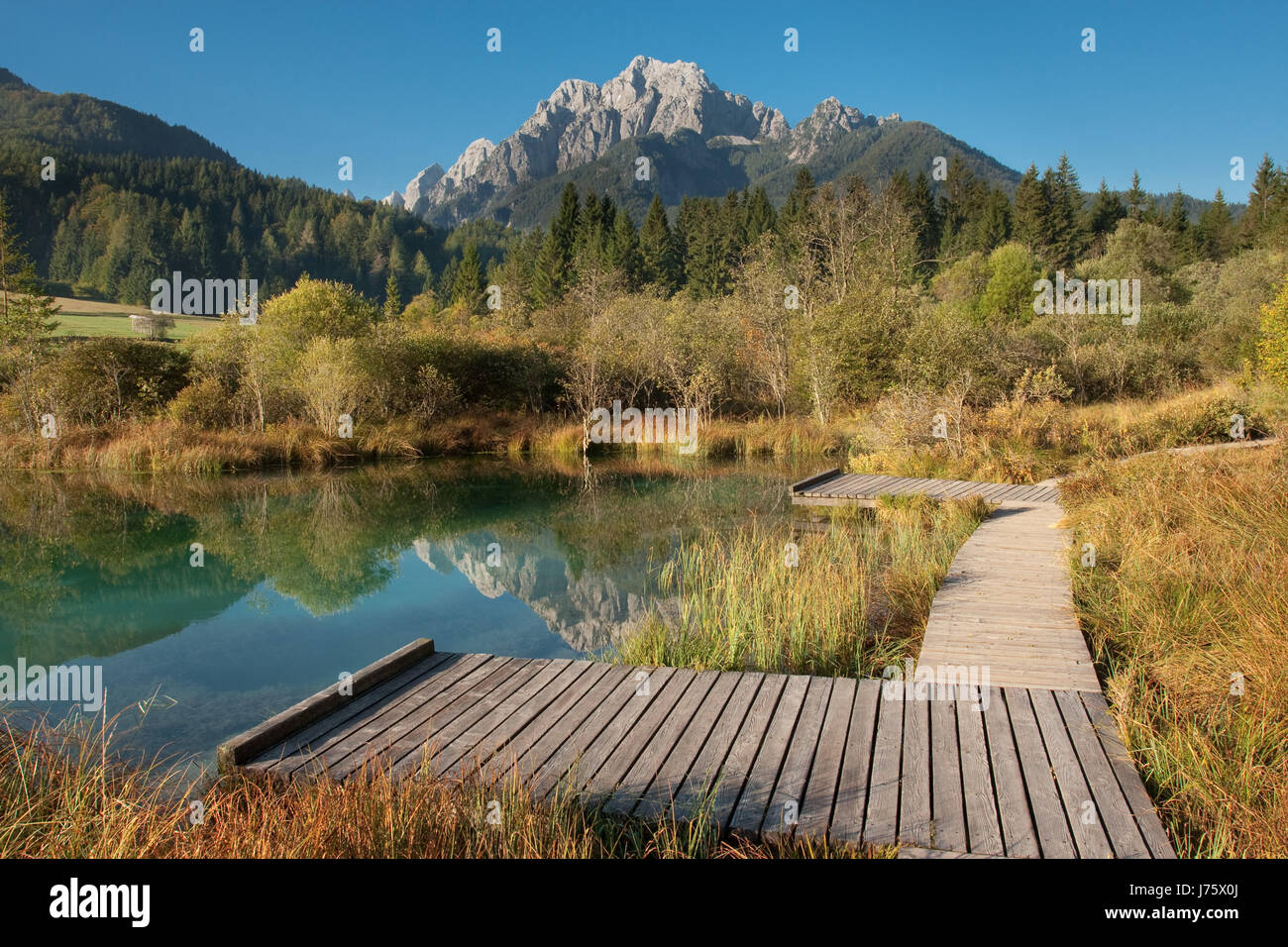 Molla del parco acqua fresca acqua di stagno lago di acque interne paesaggio paesaggio Foto Stock