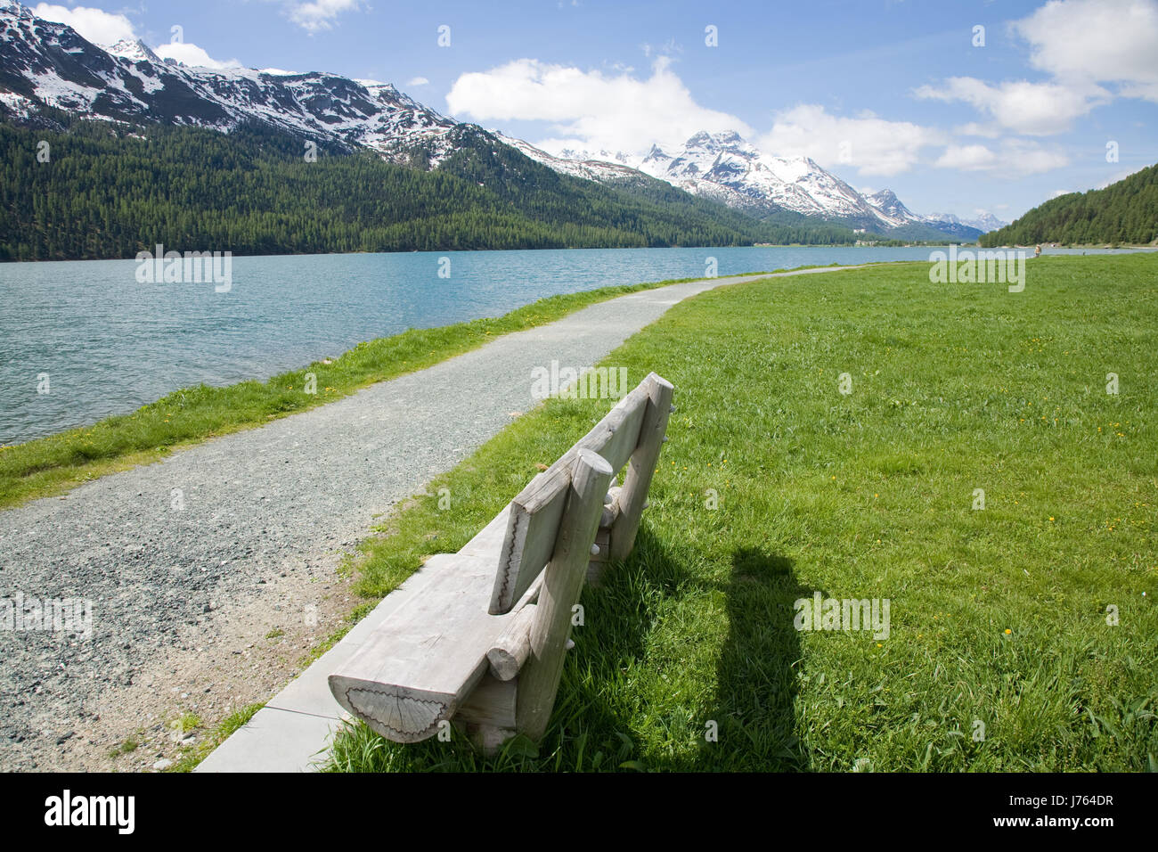 Hill montagne delle Alpi europa svizzera grigioni rock spring boschi marciapiede Foto Stock