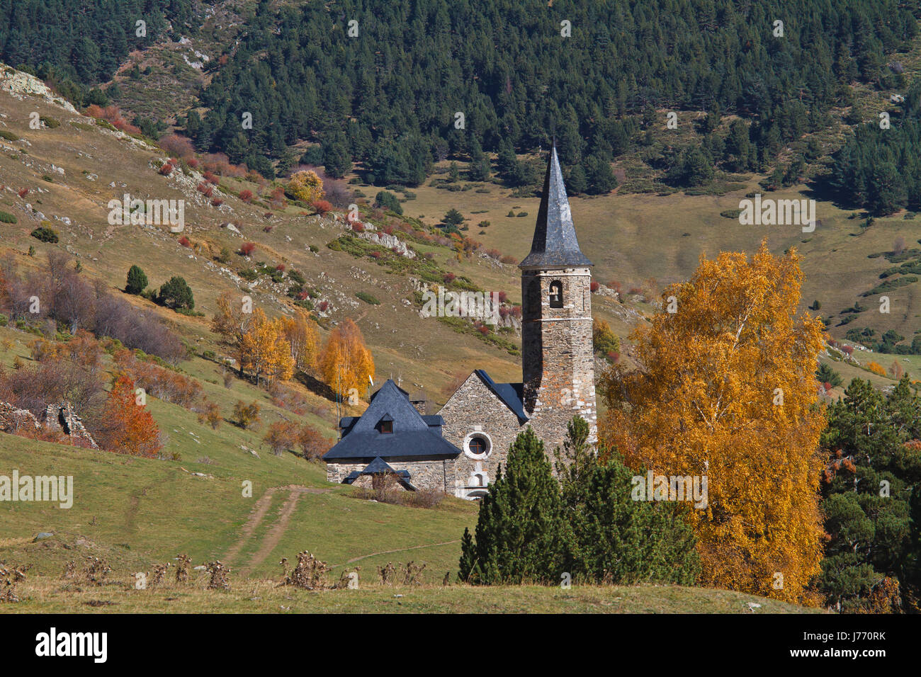 Foglia religione viaggi religiosi chiesa alberi tree park terra terra humus Foto Stock