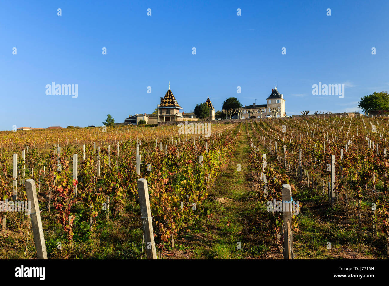 Francia, Saone et Loire, Beaujolais regione, Romaneche Thorins, Portier castello e i vigneti del Moulin a Vent in autunno Foto Stock