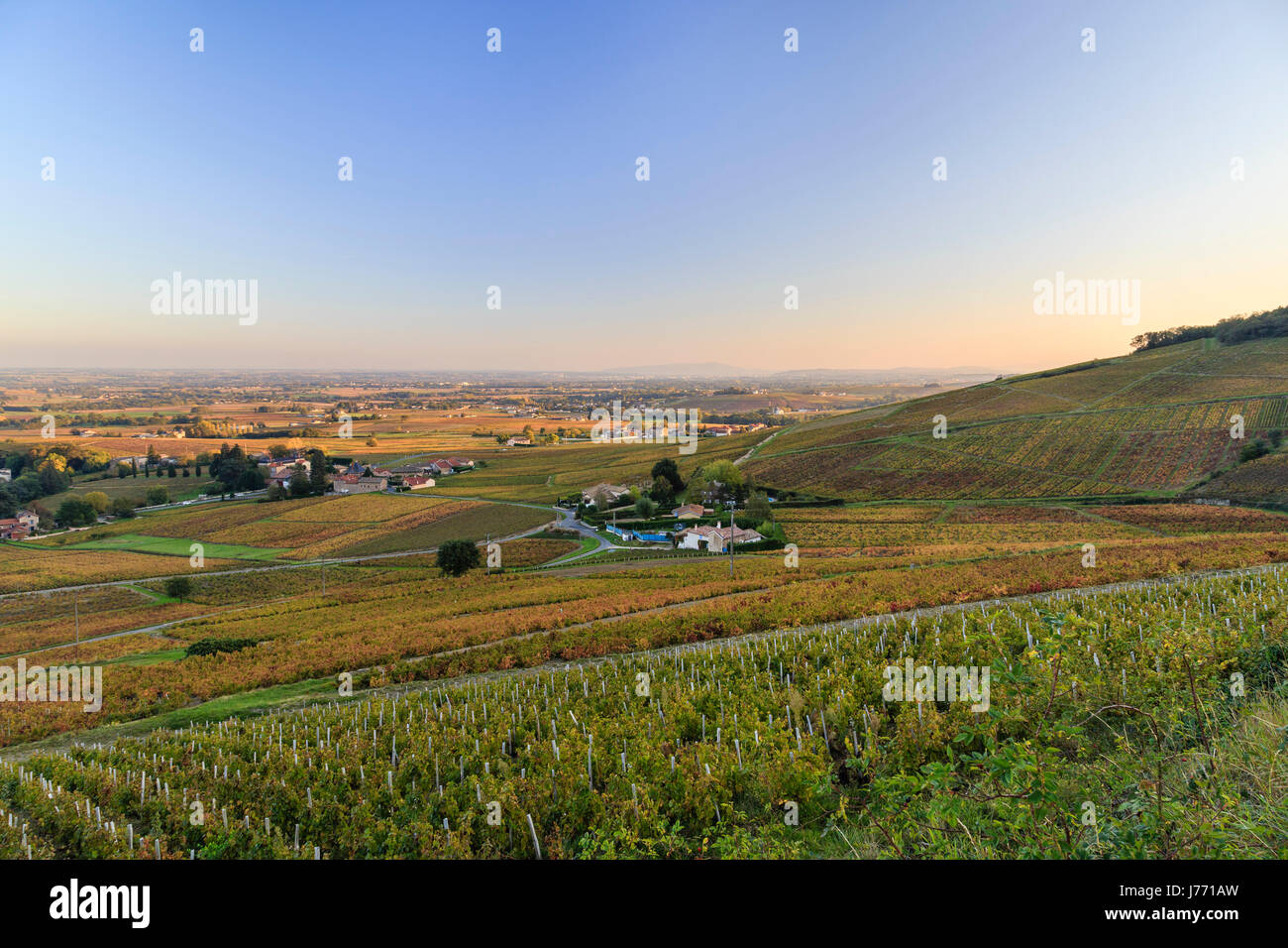 Francia, Rodano, regione Beaujolais, Saint Lager, e la vigna in autunno visto dalle pendici del Mont Brouilly Foto Stock