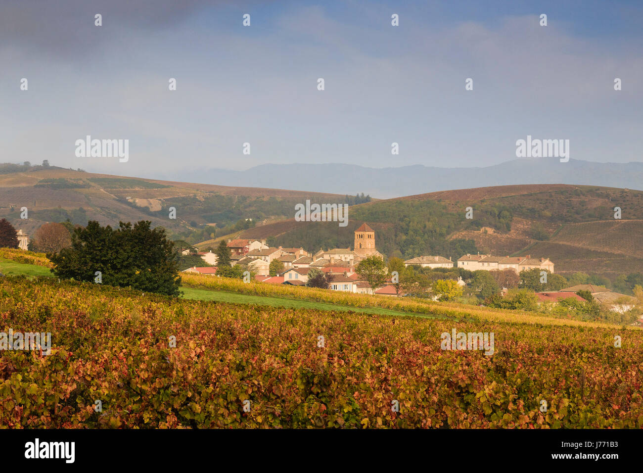 Francia, Rodano, regione Beaujolais, Salles-Arbuissonnas-en-Beaujolais, il villaggio e i vigneti in autunno Foto Stock