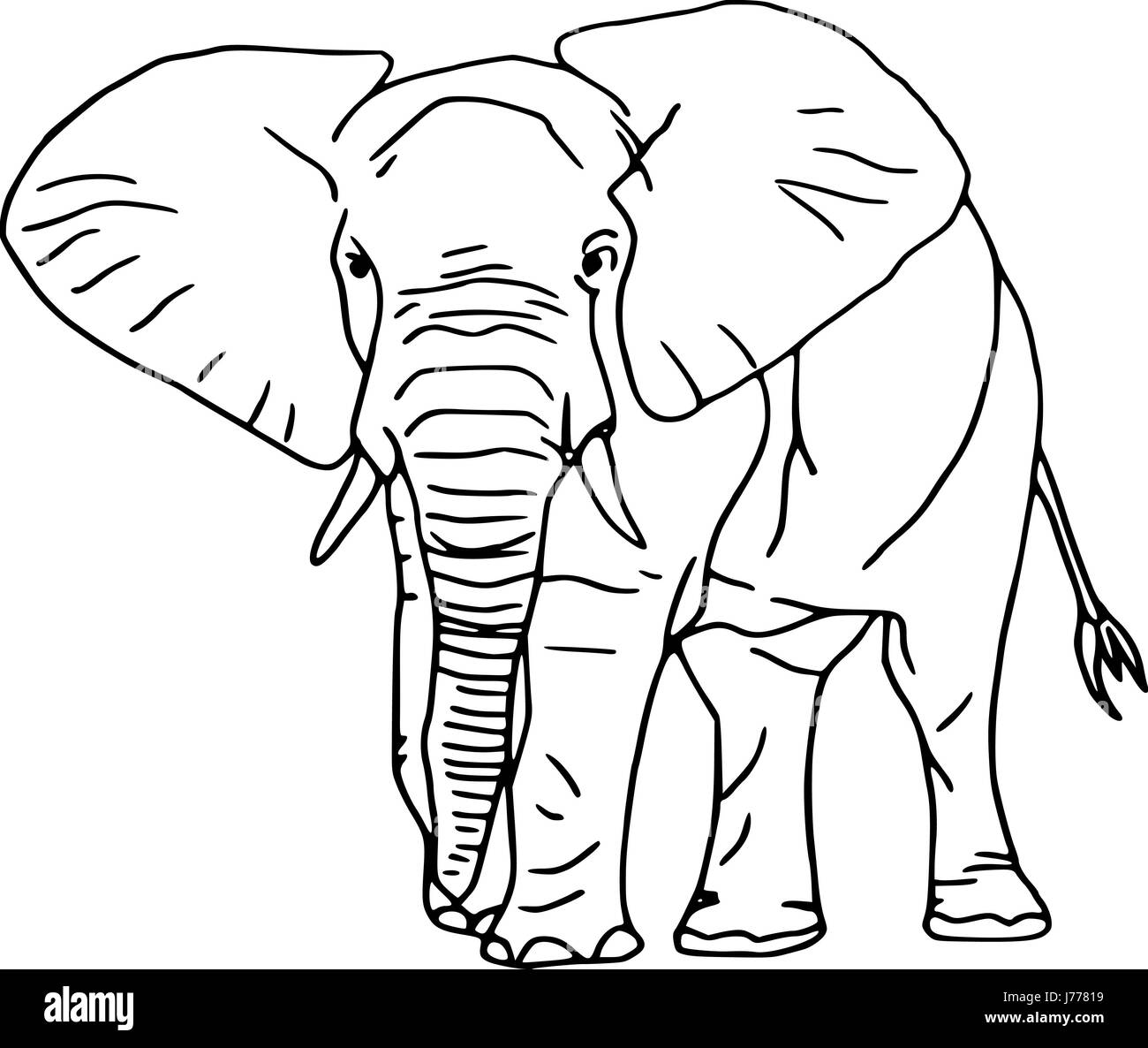 Colore isolato grafico illustrazione di elefante paint disegnare cospicua Foto stock - Alamy