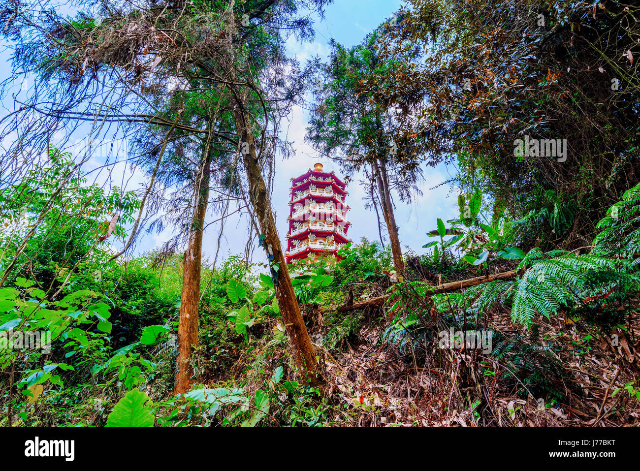 Ci'en architettura pagoda con la giungla Foto Stock