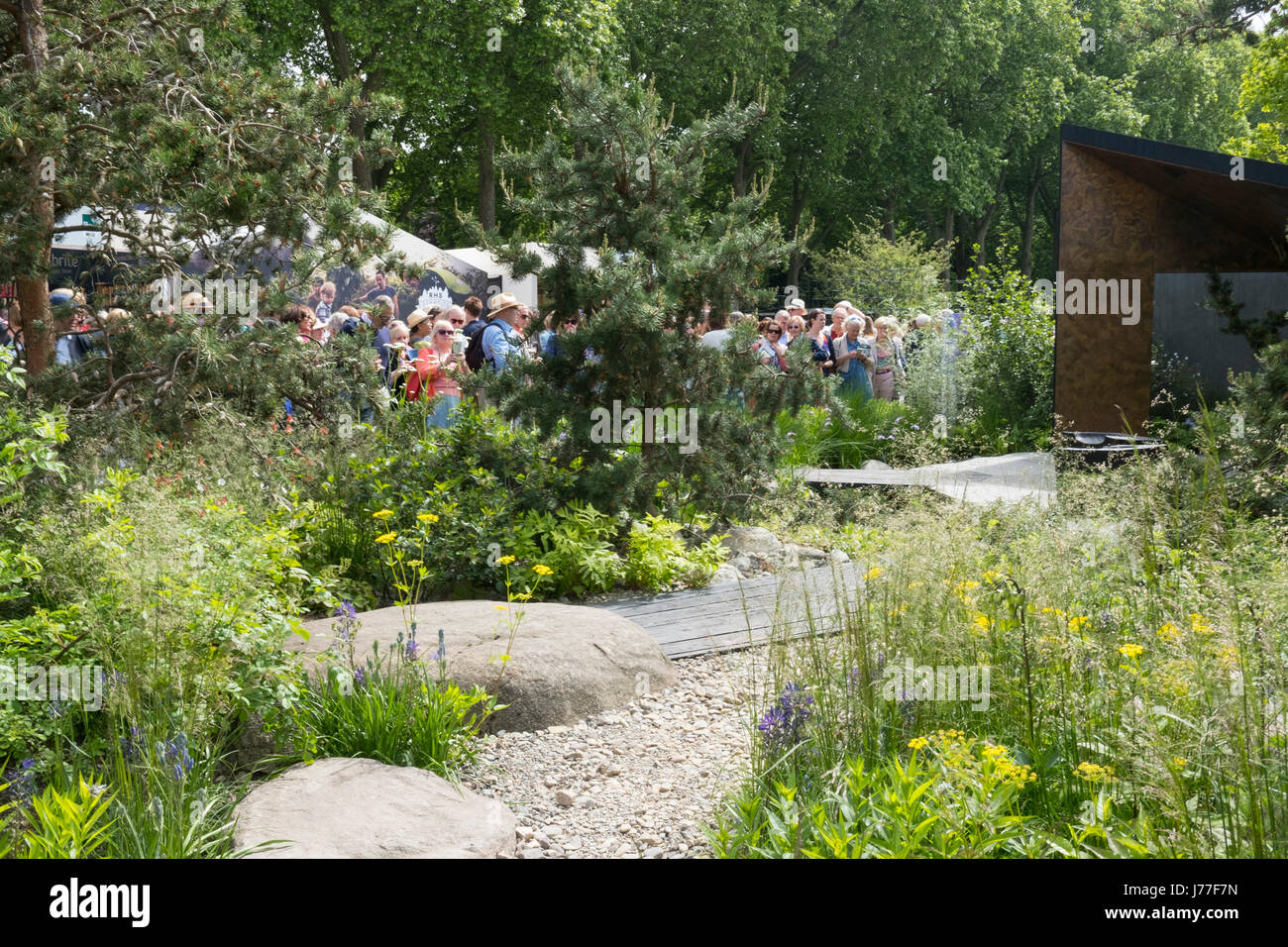 Londra, Regno Unito. 23 Maggio, 2017. Giorno di apertura ai visitatori di RHS Chelsea Flower Show intorno al Royal Bank of Canada giardino; 22 maggio 2017, Londra, UK Credit: Ellen Rooney/Alamy Live News Foto Stock