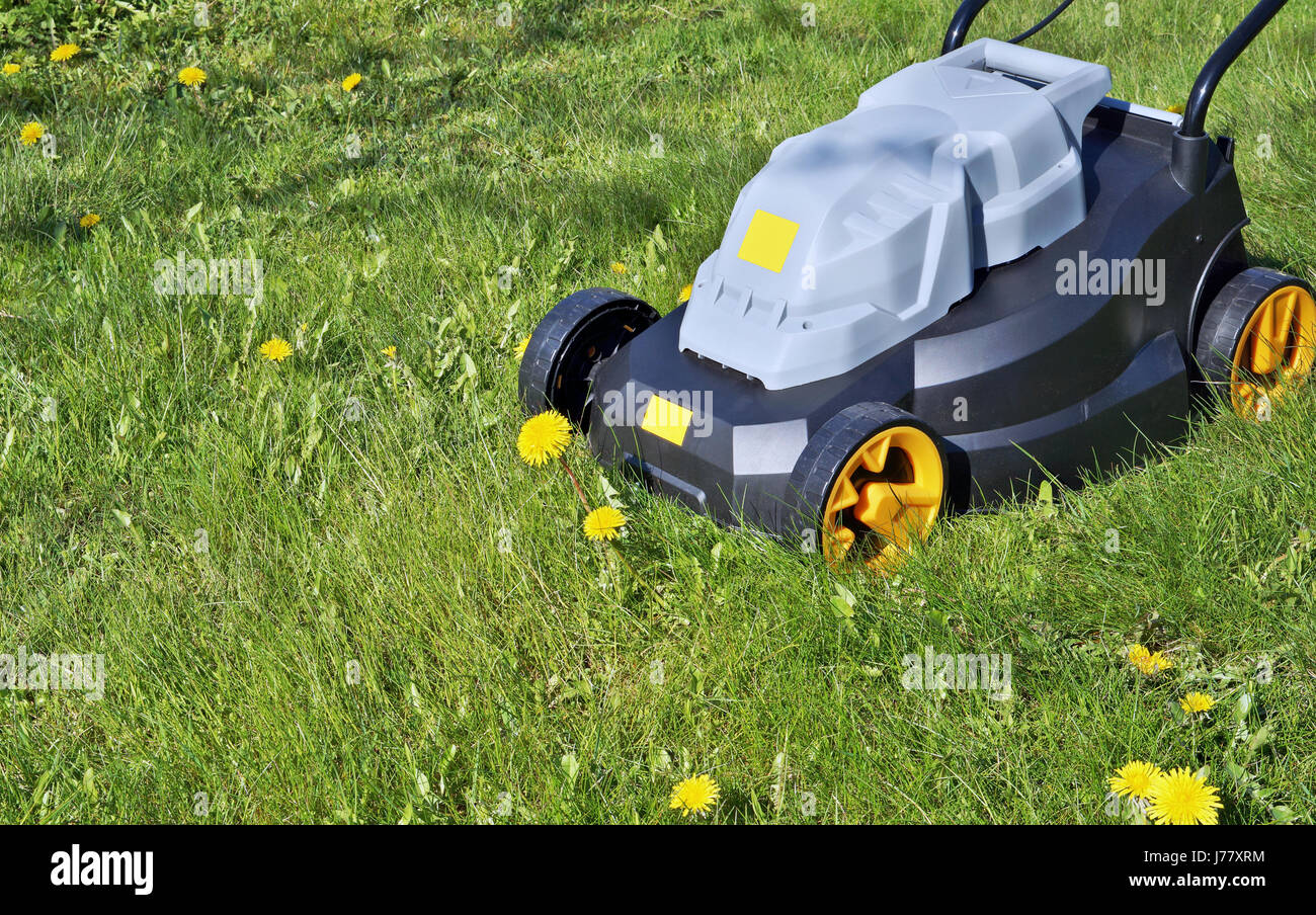 Il nuovo electric nessun nome rasaerba è pronto per la falciatura di erba e tarassaco. Prato primavera concetto shot Foto Stock