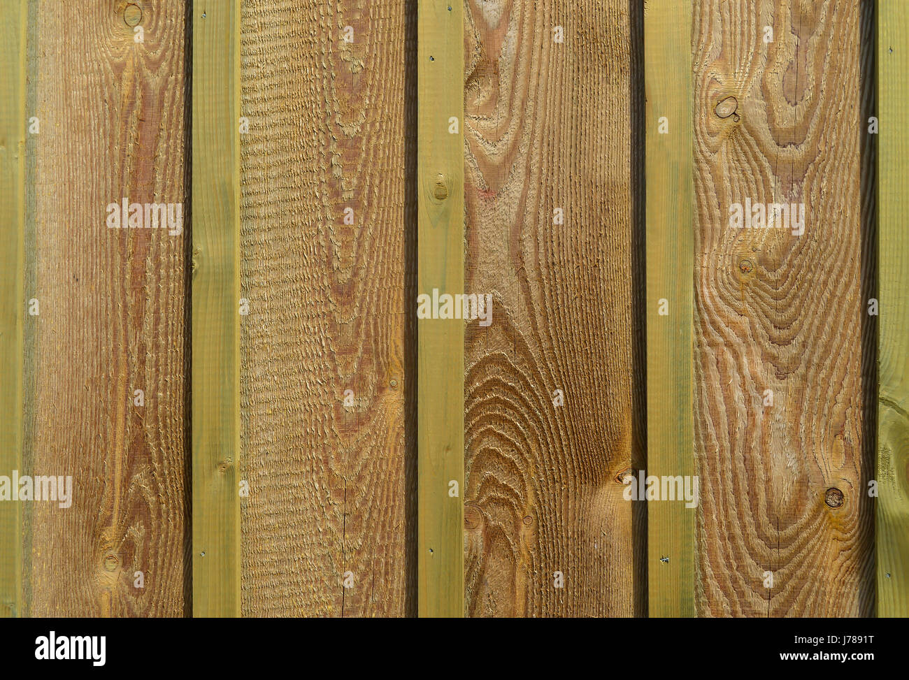 Non verniciato nuova staccionata in legno . Lo sfondo o la texture Foto Stock