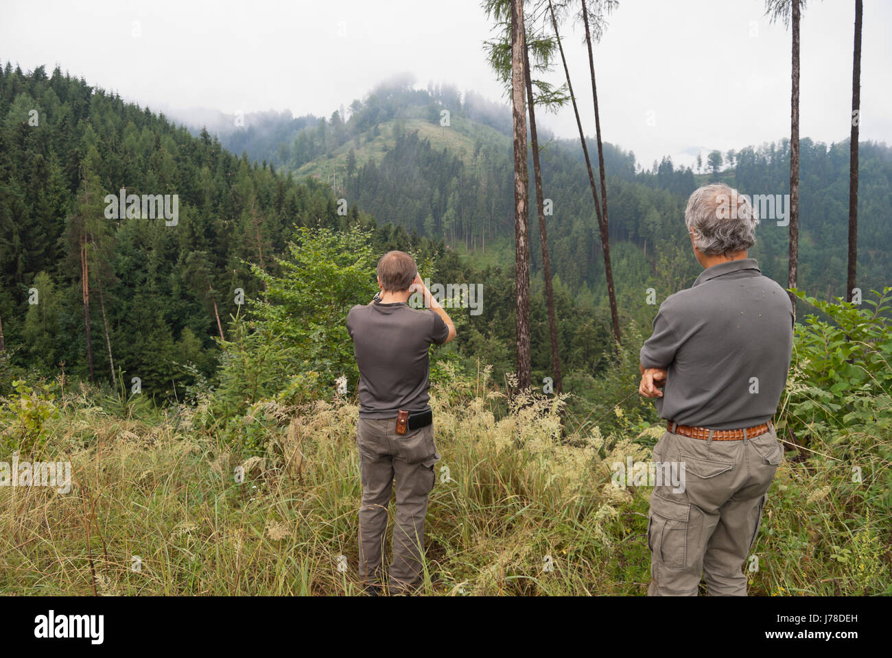 Due forestale nel corso di una ispezione in loco dopo che una violenta tempesta che ha causato windfalls e frangivento in una regione montuosa della foresta di conifere. Foto Stock
