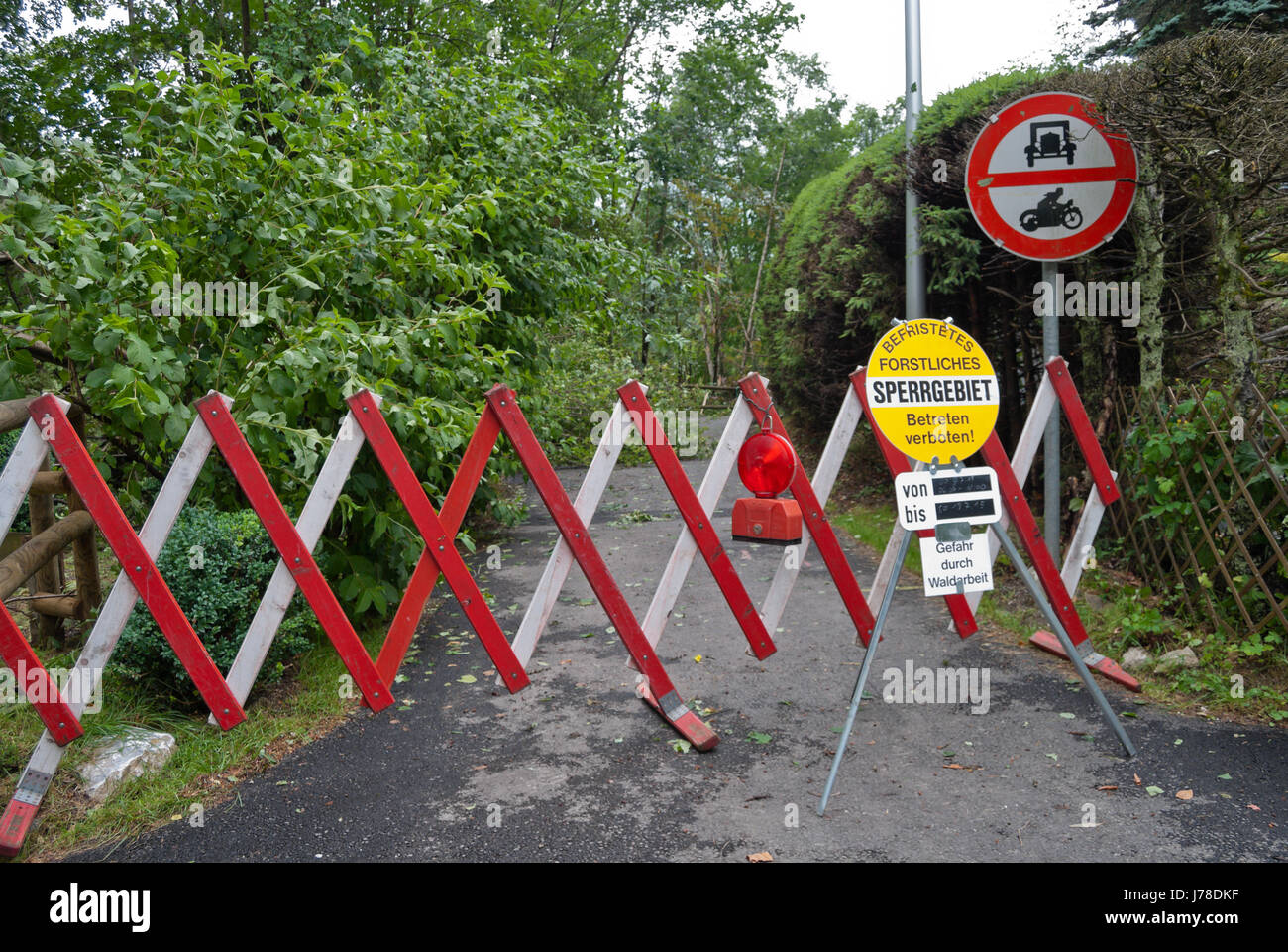 Una barriera stradale per lavori forestali. Foto Stock