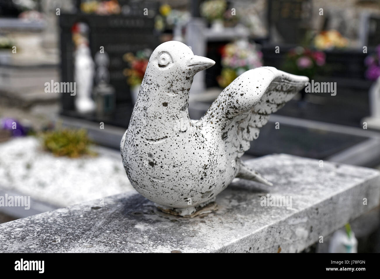 Pigeon statua di pietra sulla targa commemorativa Foto Stock