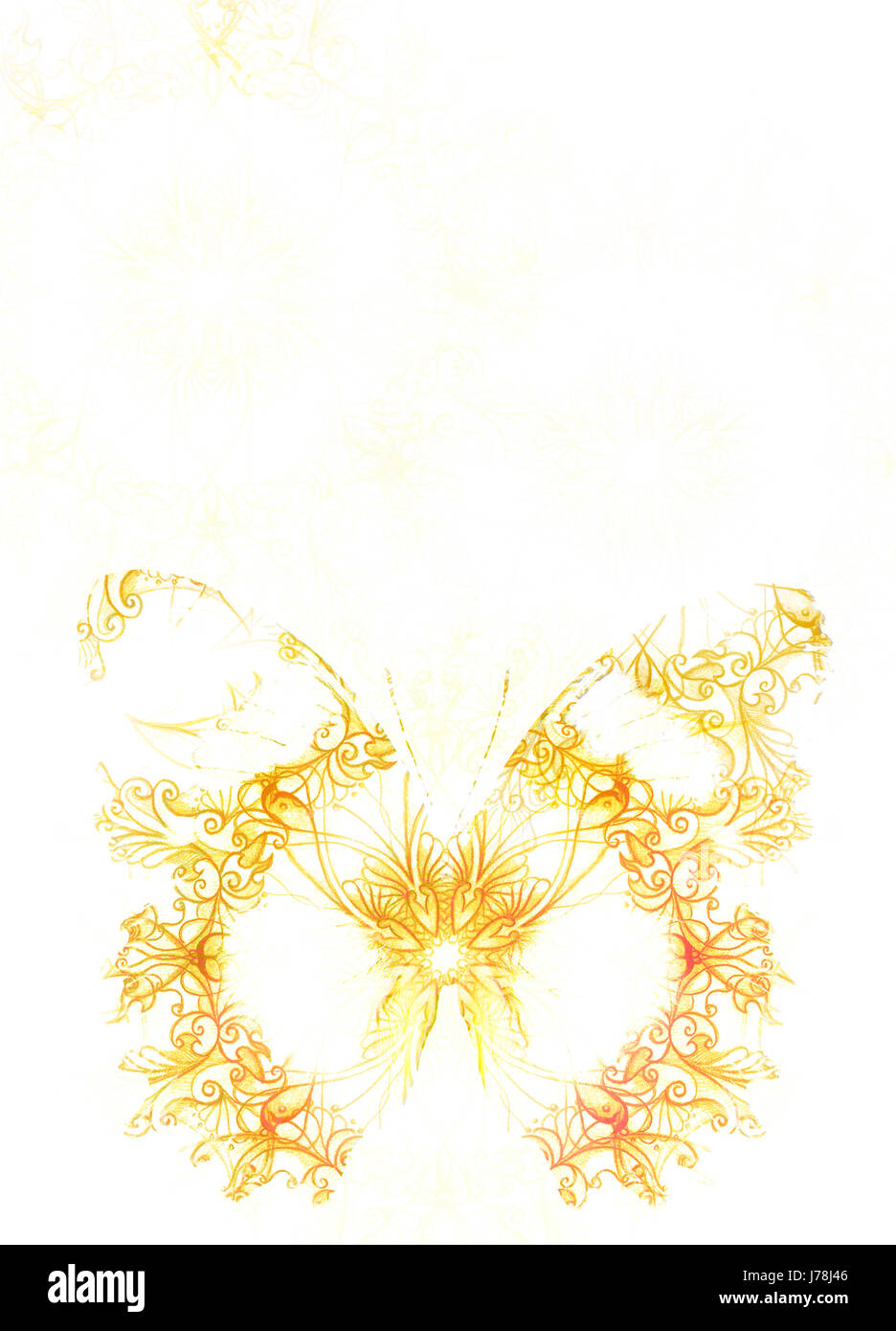 Farfalla ornamentali e sfondo bianco. Giallo farfalla. Foto Stock