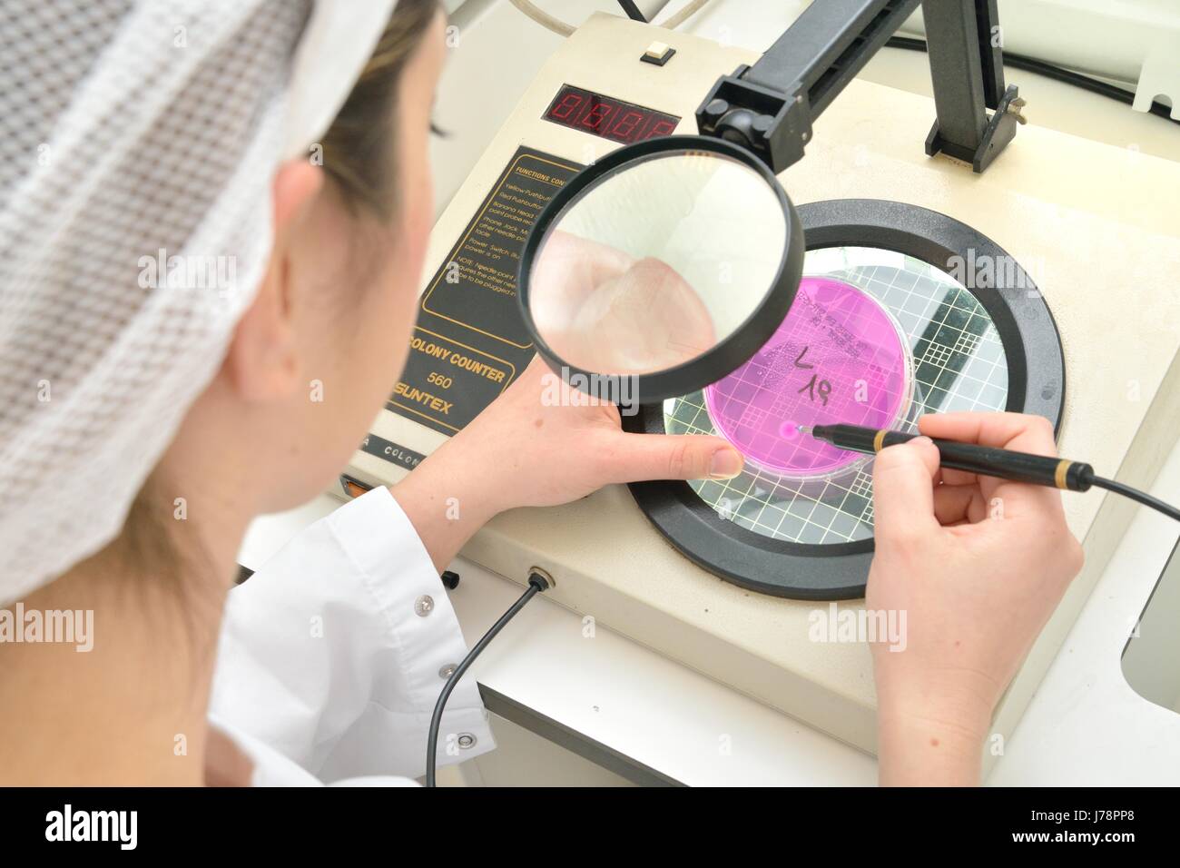 Scienziato di raschiatura a mano capsula di Petri lente di ingrandimento Foto Stock