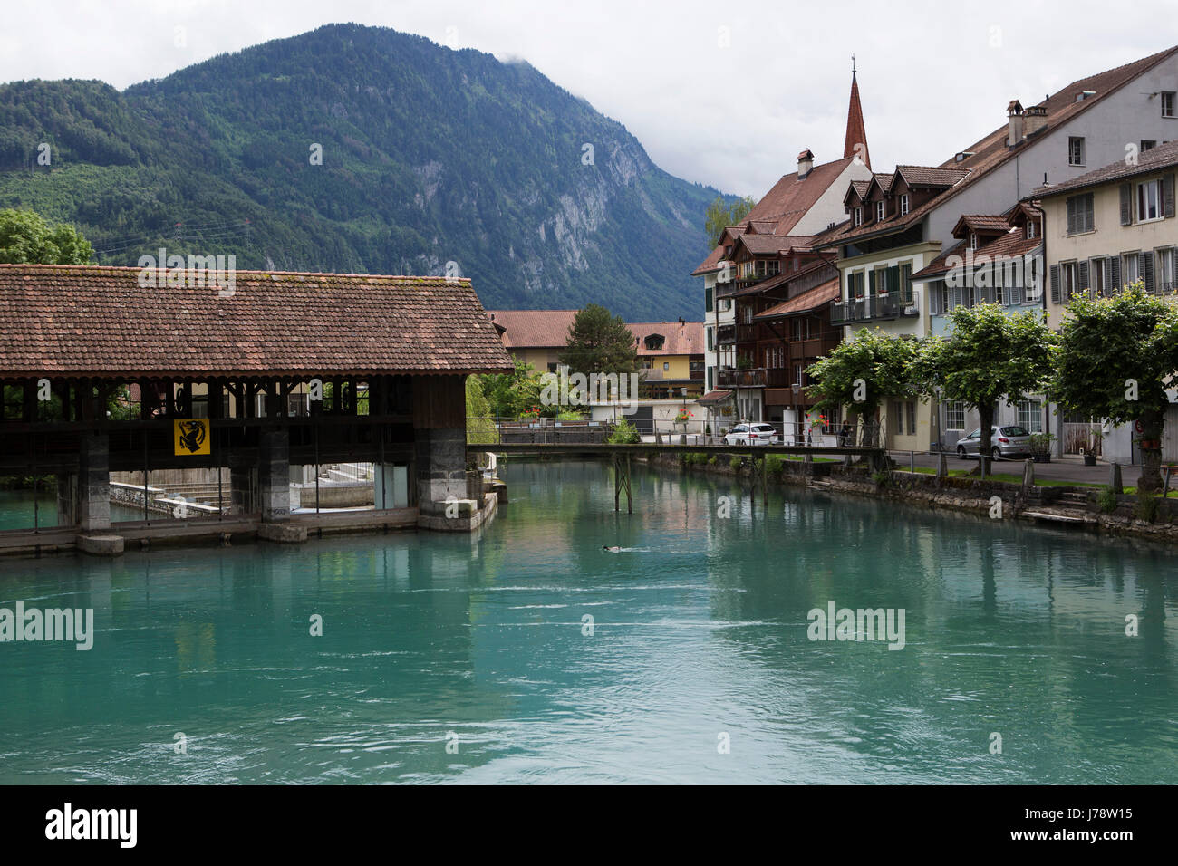 Il fiume Aare a Interlaken in Svizzera. I minerali ricchi di acqua di disgelo ha un aspetto lattiginoso, tonalità di verde. Foto Stock