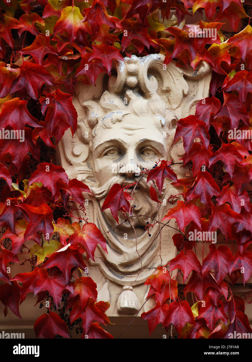 Rilievo di Potsdam fogliame di autunno aspetto red head autunno autunno house building Foto Stock