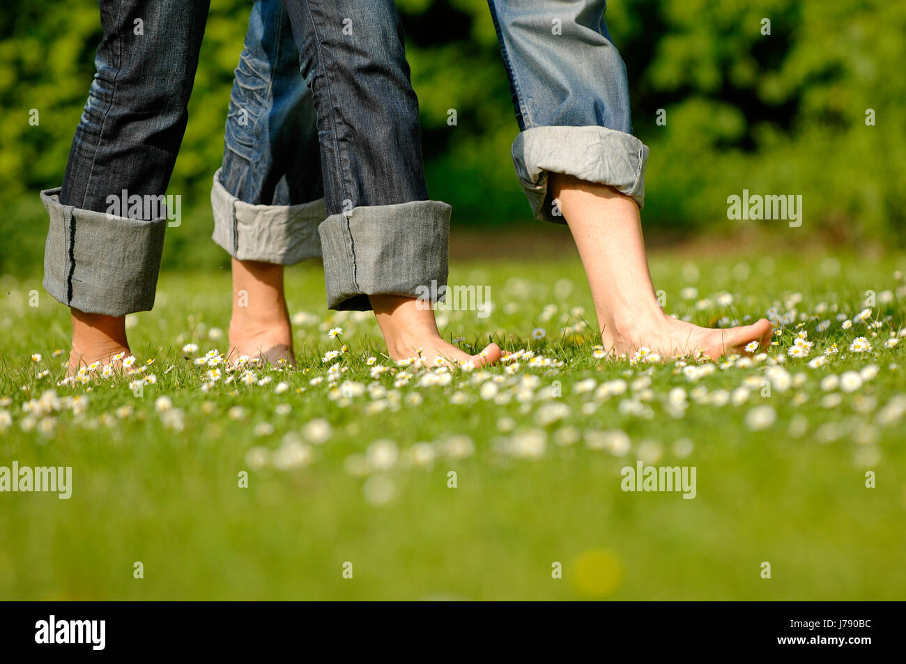 gambe Foto Stock