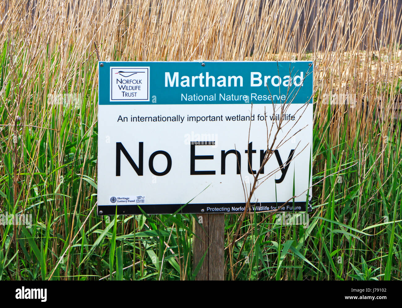 Un segnale di divieto di accesso dal bordo di Martham vasta riserva naturale nazionale nel Parco nazionale di Broads a West Somerton, Norfolk, Inghilterra, Regno Unito. Foto Stock