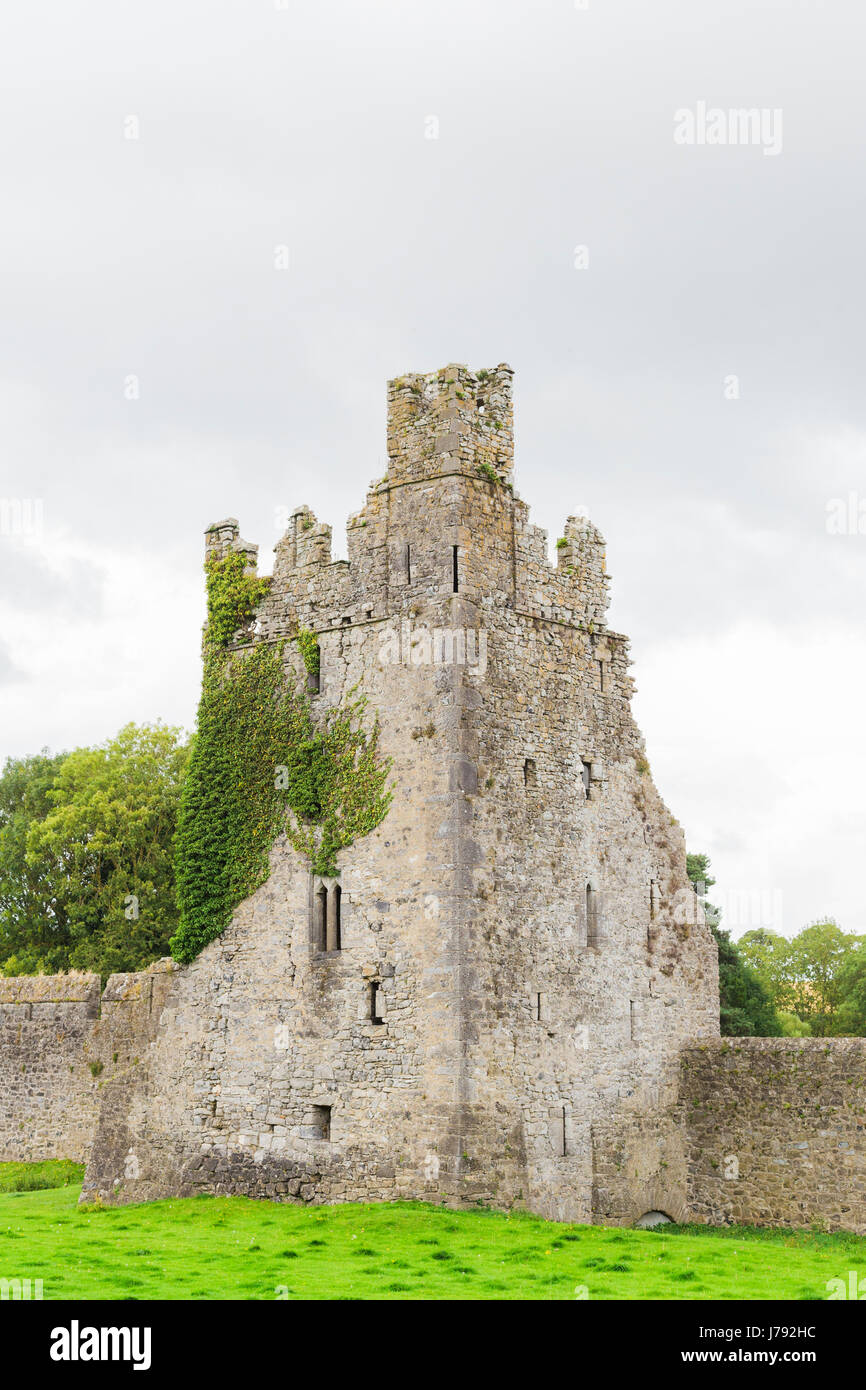Antica torre in pietra in Irlanda: Kells Priory, Kells, Kilkenny Foto Stock