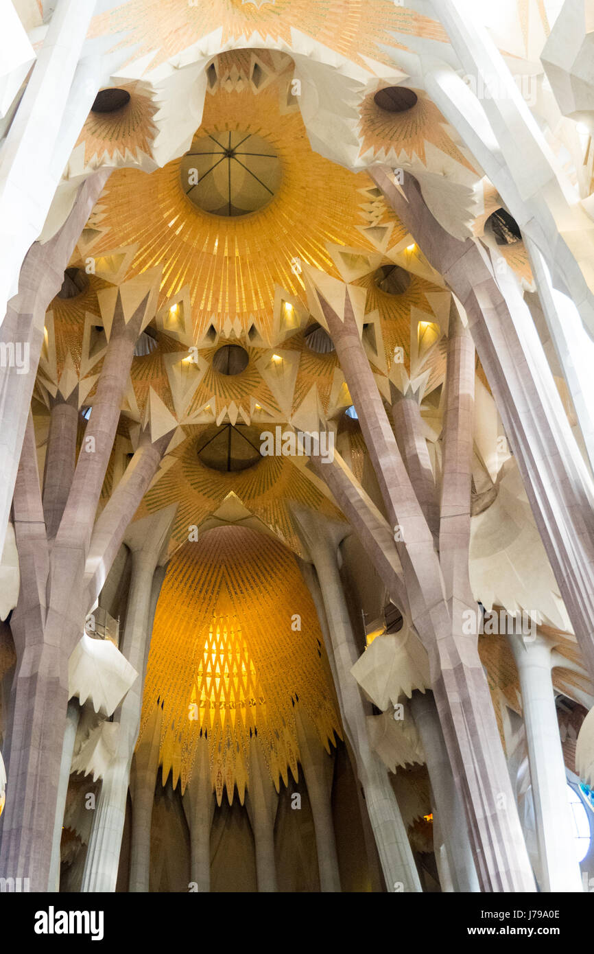 Decorativo soffitto voltato in la Sagrada Familia di Gaudi' Basilica di Barcellona in Spagna. Foto Stock