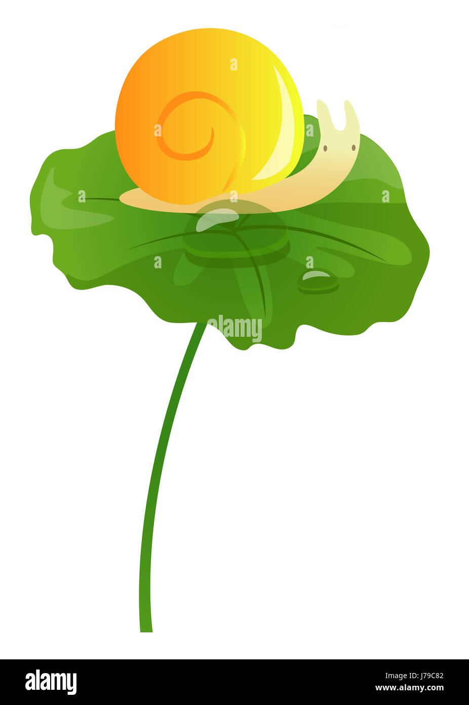 Lumaca foglia lotus natura cibo aliment beauteously bella bella foglia grande dettaglio Foto Stock