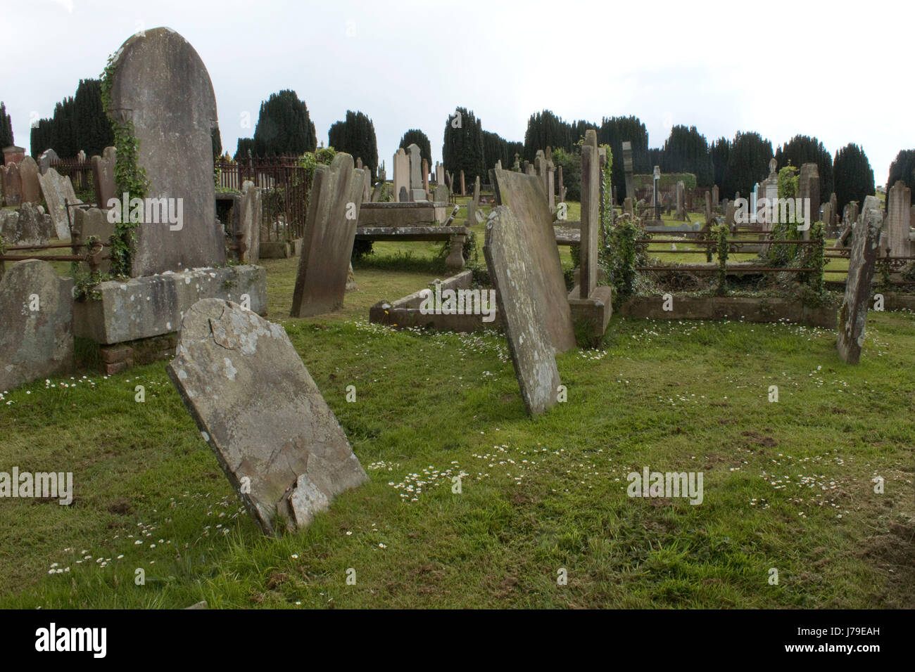 Lapidi in un cimitero vecchio in Newtownards Co Down Irlanda del Nord con alberi in lontananza Foto Stock