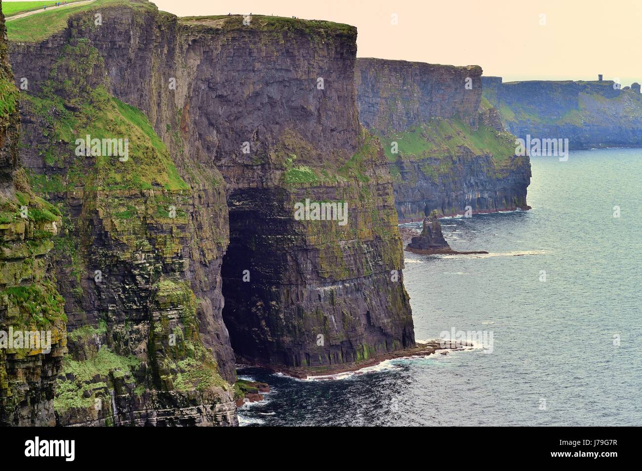 Le Scogliere di Moher vicino Liscannor, County Clare, Irlanda. Le scogliere sono un incontaminato simbolo del paese. Foto Stock