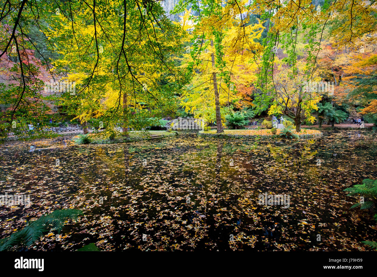 Alfred Nicholas Memorial Gardens Foto Stock