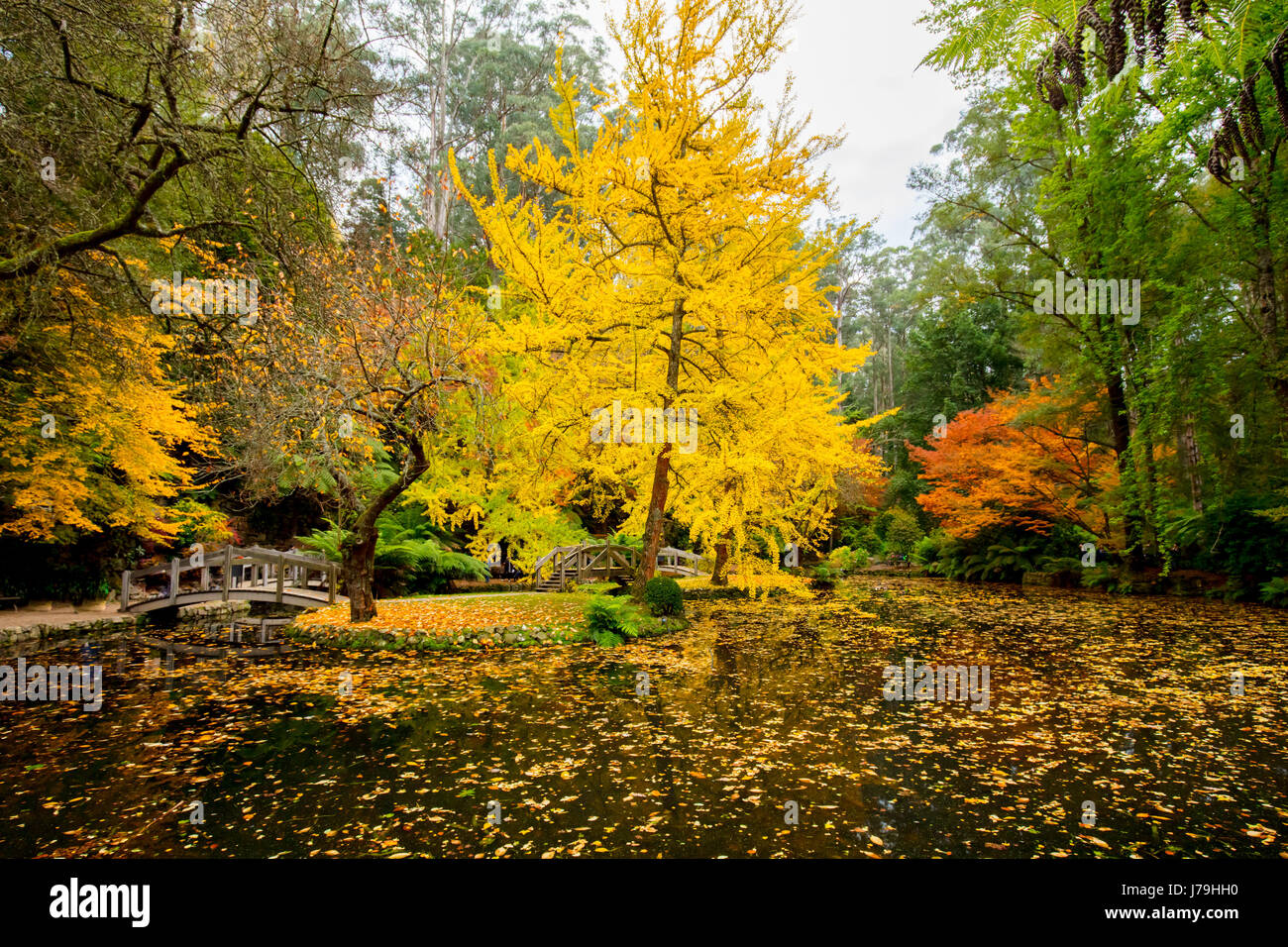 Alfred Nicholas Memorial Gardens Foto Stock