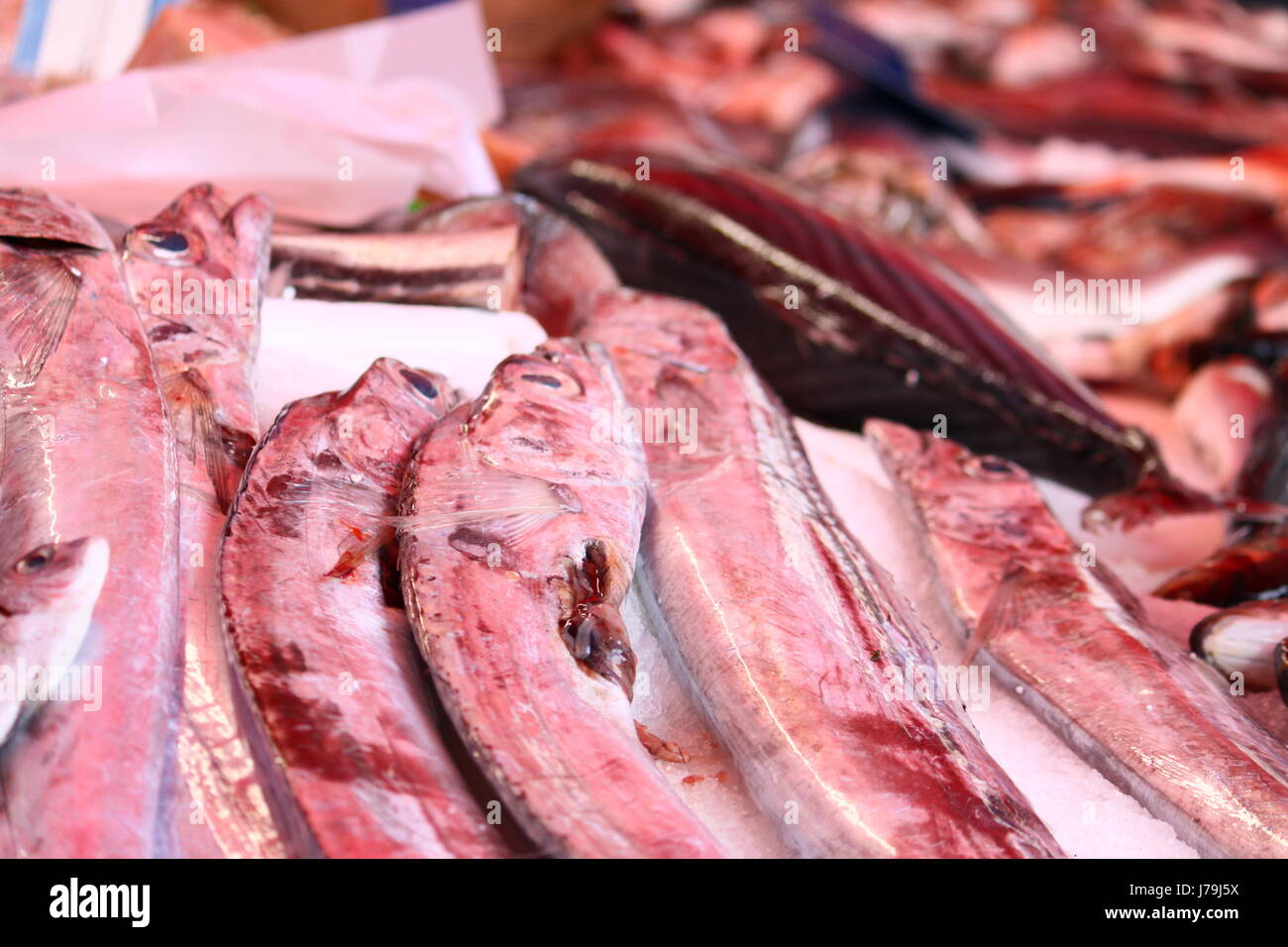 La pesca di pesci Pesci piatti di pesce sardine aringhe sardine piatto di pesce fresco atlantico Foto Stock