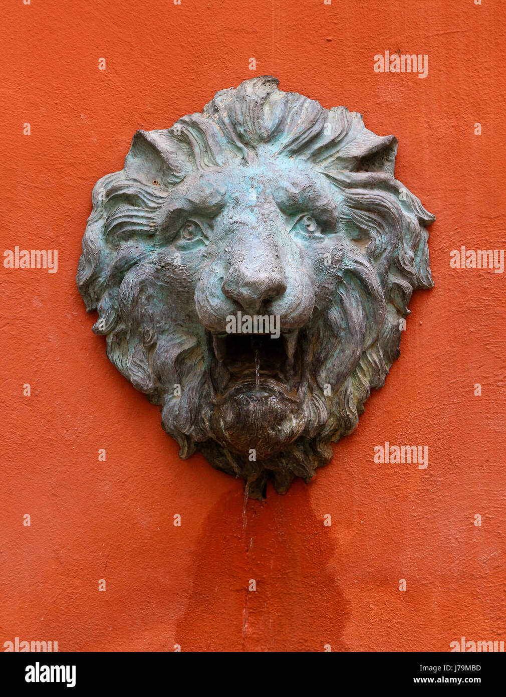 Il vecchio leone di pietra di testa membro nella parete arancione Foto Stock