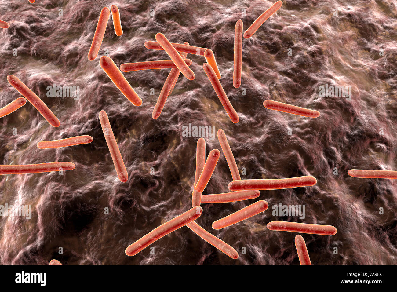 I batteri responsabili della tubercolosi in un organismo, rendering 3D Foto Stock