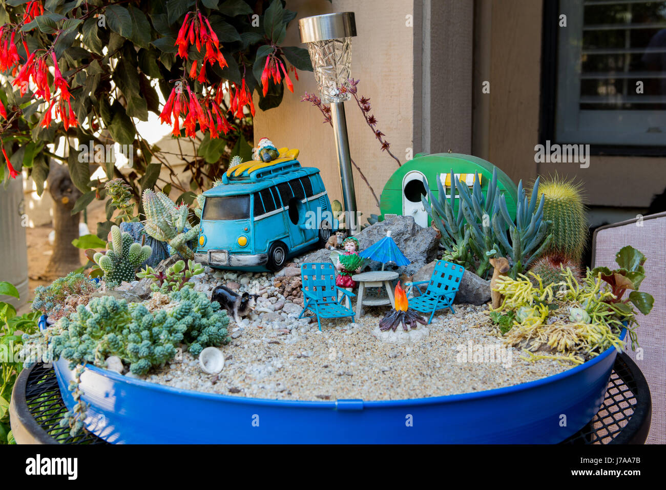 Il giardino dei Cactus. Cactus in miniatura giardino fiabesco in un piano portapaziente piantatrice. Foto Stock