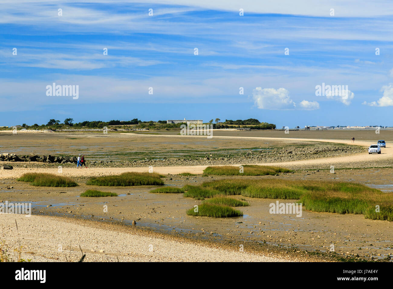 Francia, Charente Maritime, Port des Barques, Madame Island e la Passe aux Boeufs, strada sommergibile Foto Stock