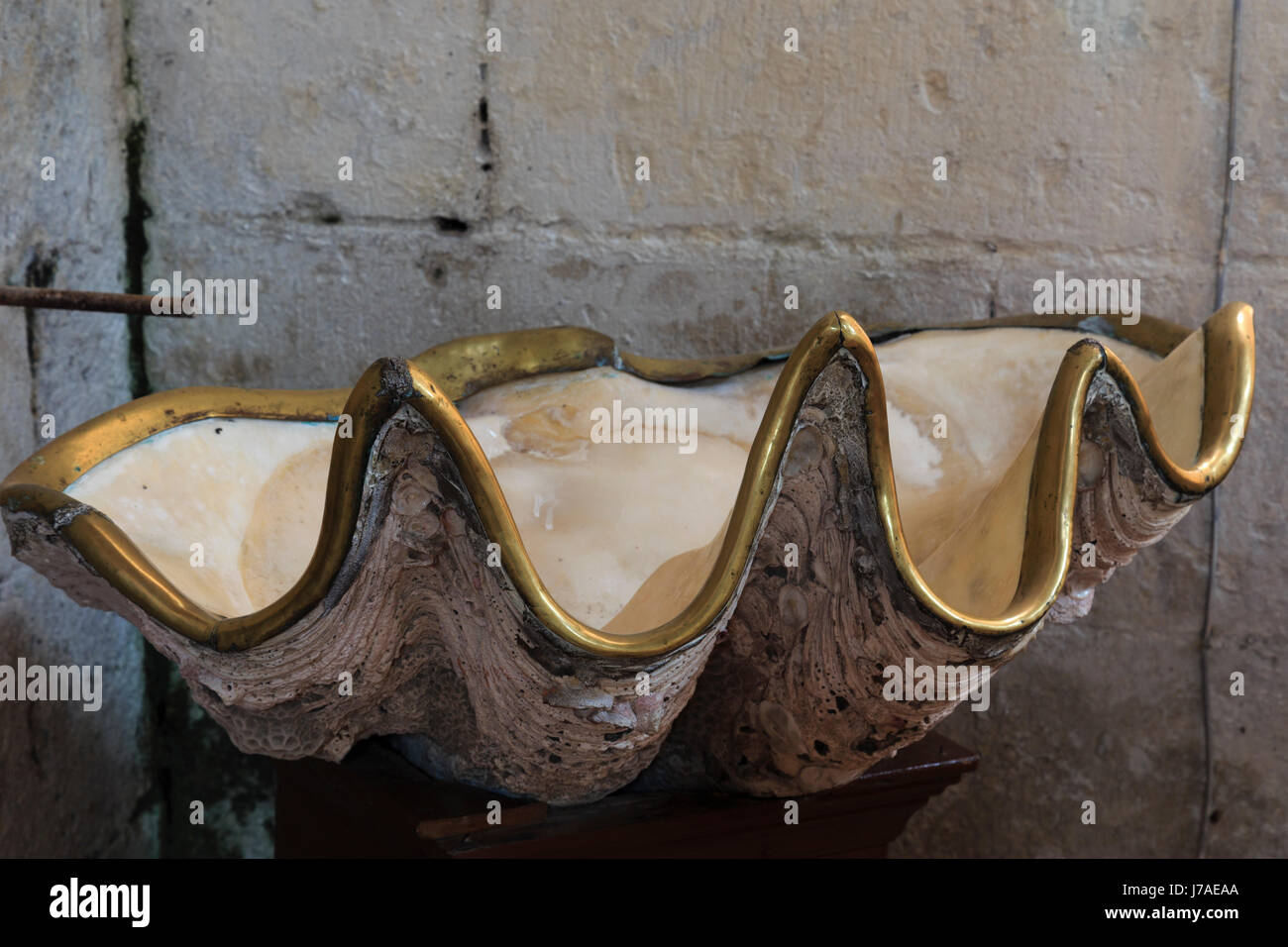 Francia, Charente maritime, mornac sur seudre, saint pierre chiesa, acquasantiera realizzata in un gigante clam shell (Tridacna gigas) o vongole giganti Foto Stock