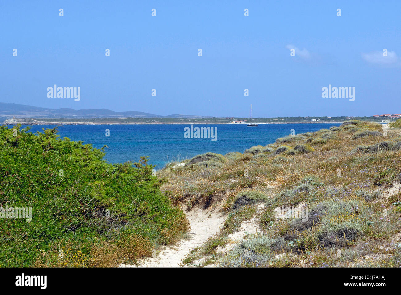 La spiaggia di Su Pallosu, distretto di Oristano, Sardegna, Italia Foto Stock