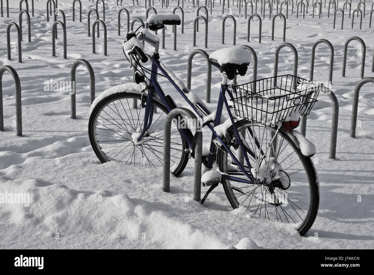 biciclette Foto Stock